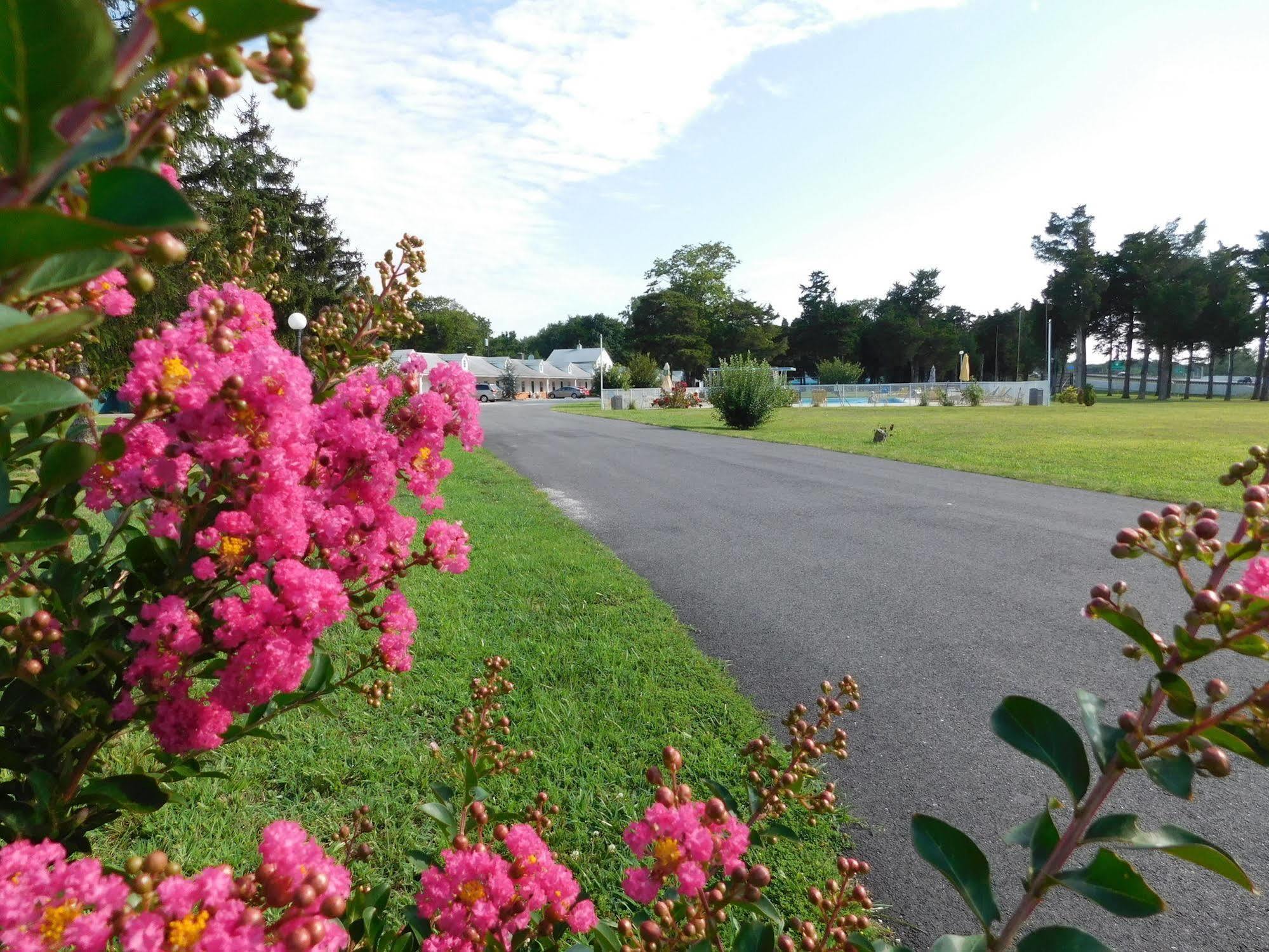 Hyland Motor Inn Cape May Court House Εξωτερικό φωτογραφία